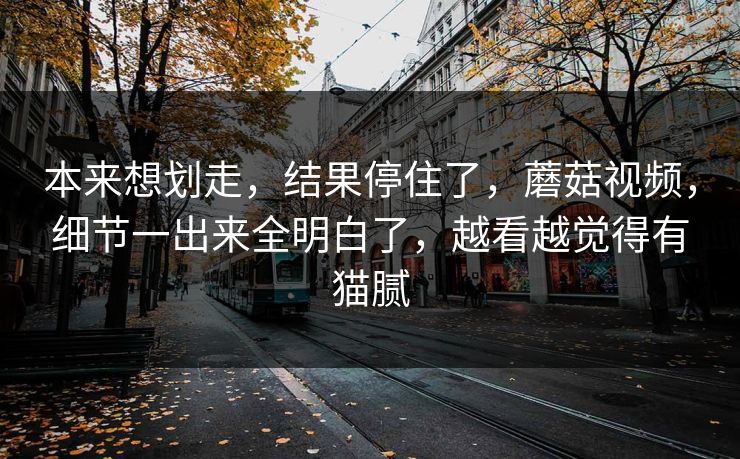 本来想划走，结果停住了，蘑菇视频，细节一出来全明白了，越看越觉得有猫腻