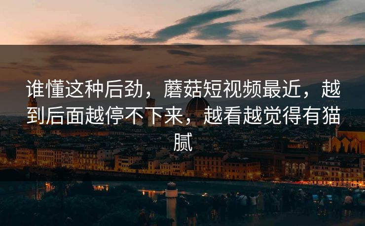 谁懂这种后劲，蘑菇短视频最近，越到后面越停不下来，越看越觉得有猫腻