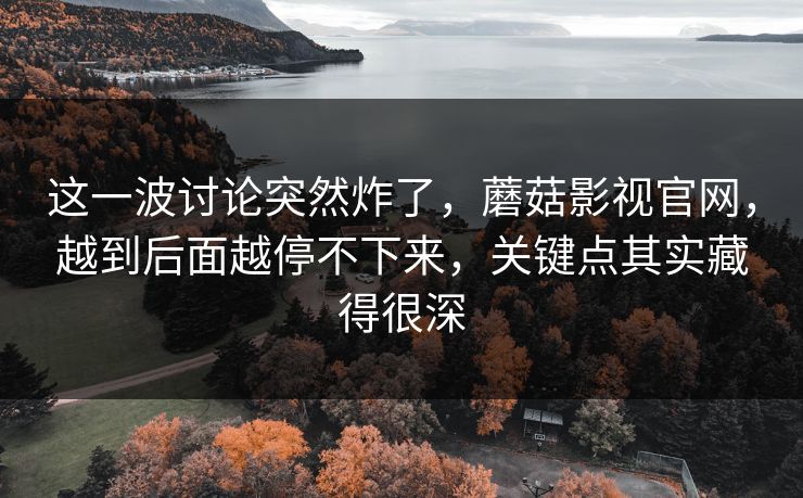 这一波讨论突然炸了，蘑菇影视官网，越到后面越停不下来，关键点其实藏得很深