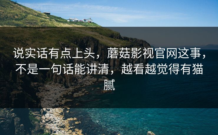 说实话有点上头，蘑菇影视官网这事，不是一句话能讲清，越看越觉得有猫腻