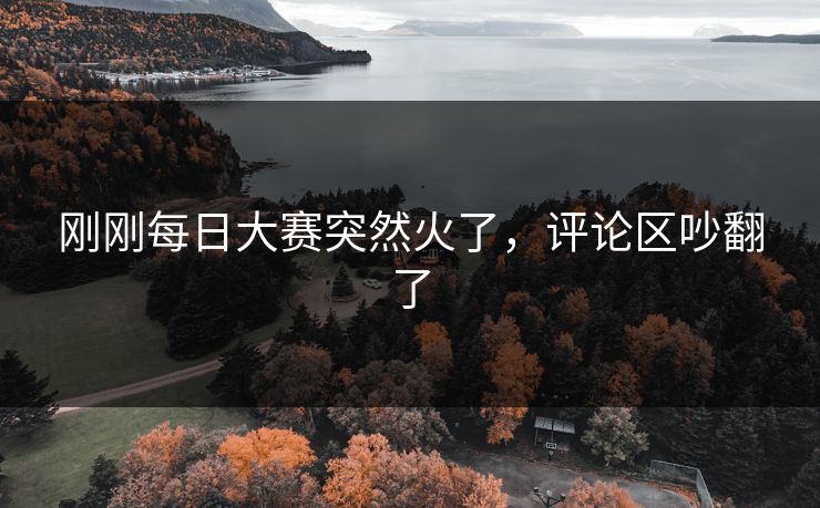 刚刚每日大赛突然火了，评论区吵翻了