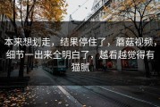 本来想划走，结果停住了，蘑菇视频，细节一出来全明白了，越看越觉得有猫腻