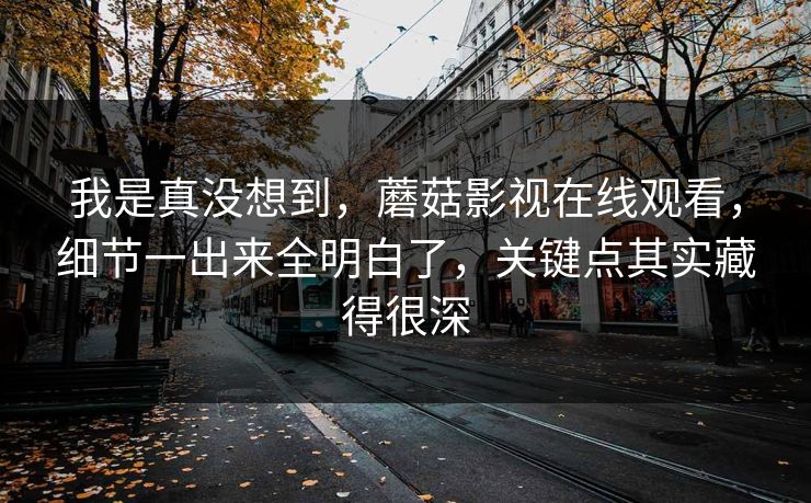 我是真没想到，蘑菇影视在线观看，细节一出来全明白了，关键点其实藏得很深