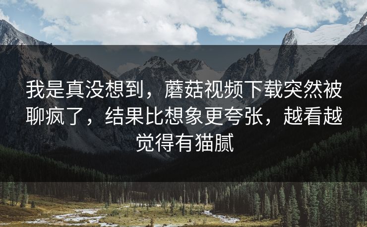 我是真没想到，蘑菇视频下载突然被聊疯了，结果比想象更夸张，越看越觉得有猫腻