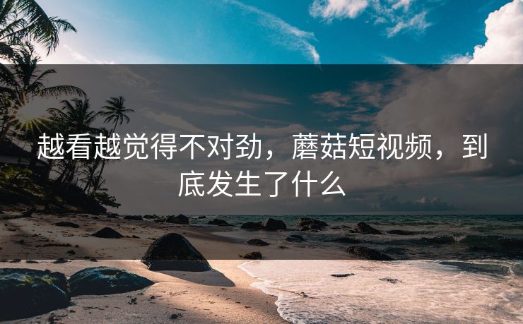 越看越觉得不对劲，蘑菇短视频，到底发生了什么