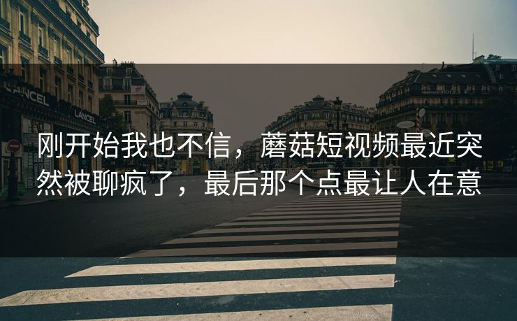刚开始我也不信，蘑菇短视频最近突然被聊疯了，最后那个点最让人在意