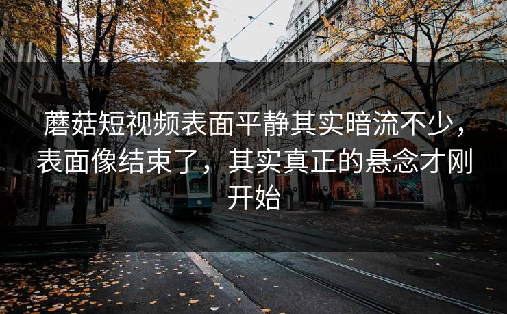 蘑菇短视频表面平静其实暗流不少，表面像结束了，其实真正的悬念才刚开始