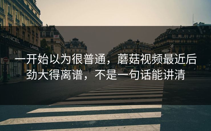 一开始以为很普通，蘑菇视频最近后劲大得离谱，不是一句话能讲清