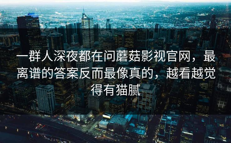 一群人深夜都在问蘑菇影视官网，最离谱的答案反而最像真的，越看越觉得有猫腻