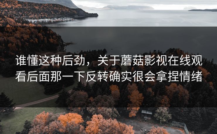 谁懂这种后劲，关于蘑菇影视在线观看后面那一下反转确实很会拿捏情绪