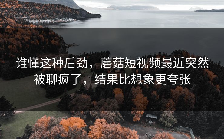 谁懂这种后劲,蘑菇短视频最近突然被聊疯了,结果比想象更夸张 谁懂这种后劲,蘑菇短视频最近突然被聊疯了,结果比想象更夸张